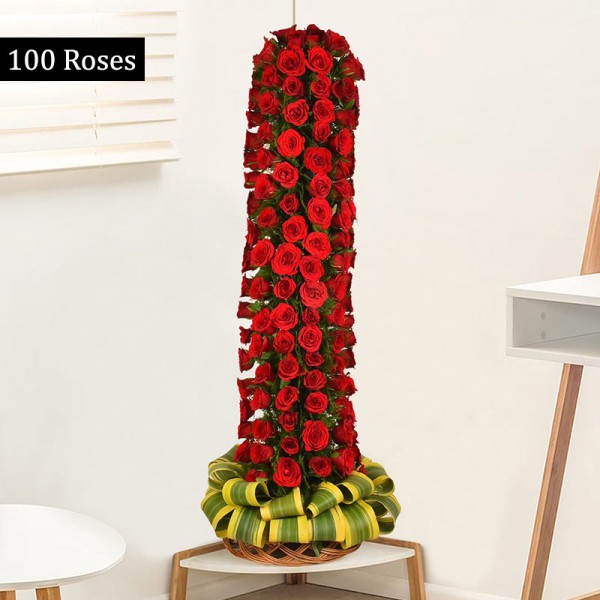 3 feet tall arrangement of 100 red roses 